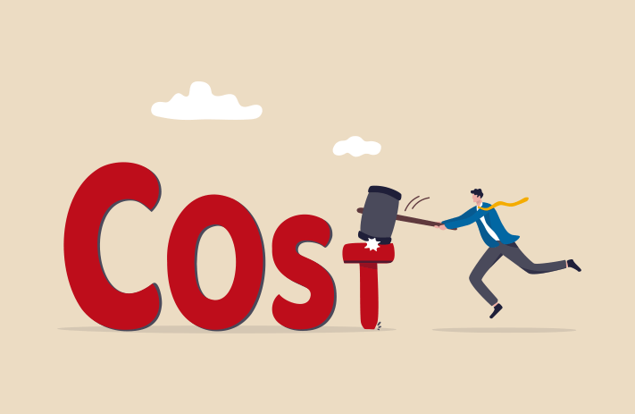 Cost Reduction Techniques in Project Management Cost Reduction Techniques in Project Management