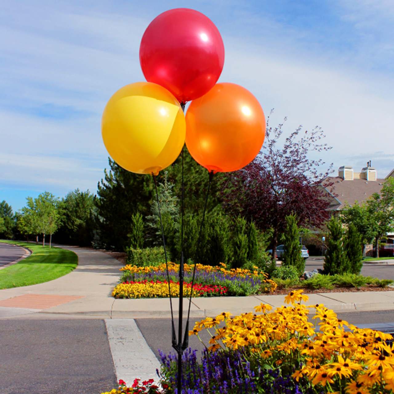 Eco-Friendly Balloons: Celebrate with a Green Touch!