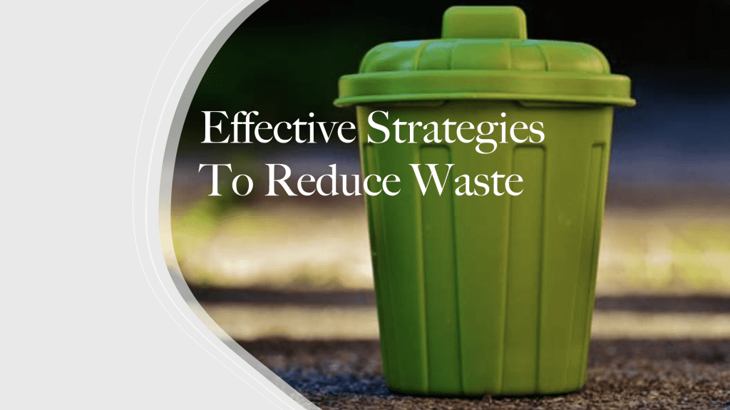 Sustainability at Gleam Haven: Beautiful & Eco-Friendly