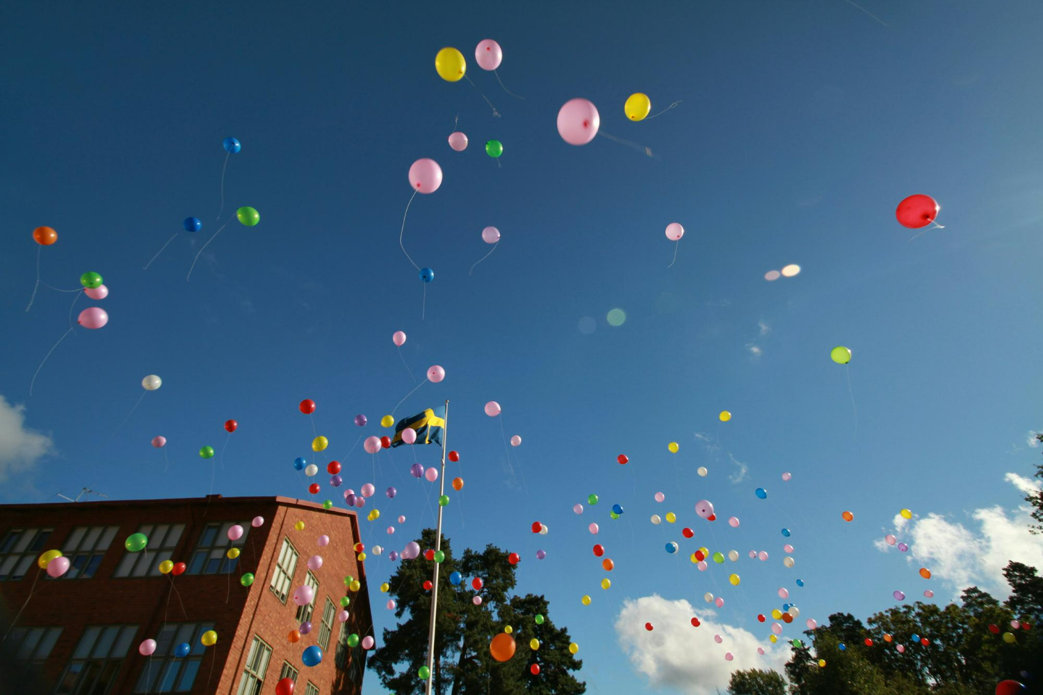 Festival & Seasonal Balloons