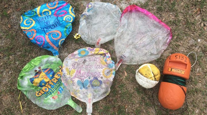 Sustainable Balloon Practices: Eco-Friendly Wholesale Options