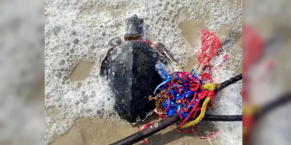 Sustainable Balloon Practices: Eco-Friendly Wholesale Options