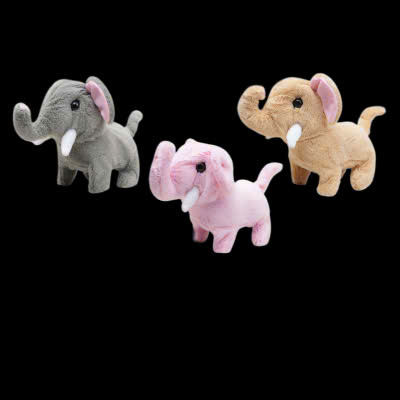 z6750129867955 dcc84c357073765528ef59834ab14e38